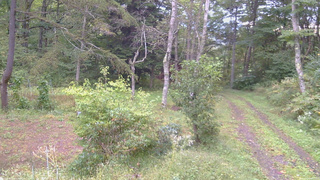 長野県菅平高原 ゆたか山荘 坂上 2026/09/24 06:45