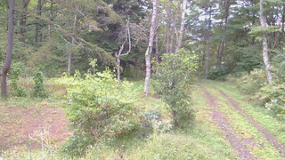 長野県菅平高原 ゆたか山荘 坂上 2026/09/24 07:00