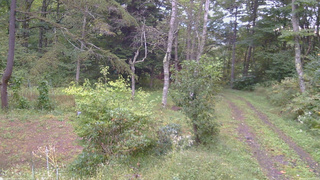 長野県菅平高原 ゆたか山荘 坂上 2026/09/24 07:15