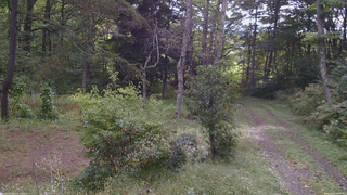 長野県菅平高原 ゆたか山荘 坂上 2026/09/24 08:45