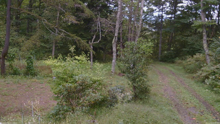 長野県菅平高原 ゆたか山荘 坂上 2026/09/24 09:30