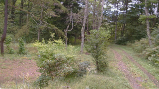 長野県菅平高原 ゆたか山荘 坂上 2026/09/24 09:45
