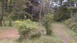 長野県菅平高原 ゆたか山荘 坂上 2026/09/24 10:15