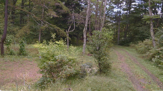 長野県菅平高原 ゆたか山荘 坂上 2026/09/24 10:30