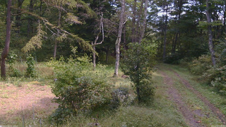 長野県菅平高原 ゆたか山荘 坂上 2026/09/24 11:00