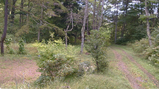 長野県菅平高原 ゆたか山荘 坂上 2026/09/24 11:15