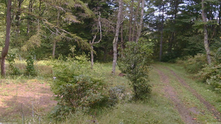 長野県菅平高原 ゆたか山荘 坂上 2026/09/24 11:30