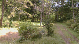 長野県菅平高原 ゆたか山荘 坂上 2026/09/24 11:45