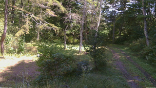 長野県菅平高原 ゆたか山荘 坂上 2026/09/24 12:00