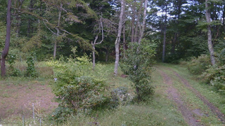 長野県菅平高原 ゆたか山荘 坂上 2026/09/24 13:15