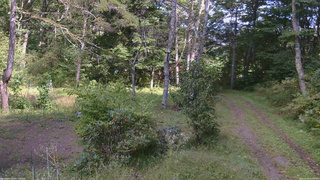 長野県菅平高原 ゆたか山荘 坂上 2026/09/24 13:30