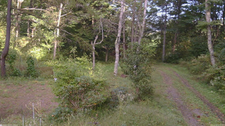 長野県菅平高原 ゆたか山荘 坂上 2026/09/24 15:15