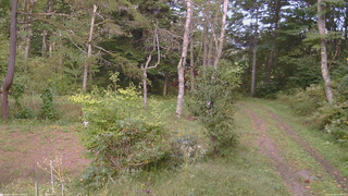 長野県菅平高原 ゆたか山荘 坂上 2026/09/24 15:30