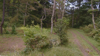 長野県菅平高原 ゆたか山荘 坂上 2026/09/24 16:00
