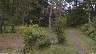 長野県菅平高原 ゆたか山荘 坂上 2026/09/24 16:15