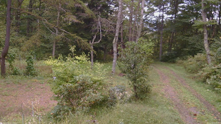 長野県菅平高原 ゆたか山荘 坂上 2026/09/24 16:30