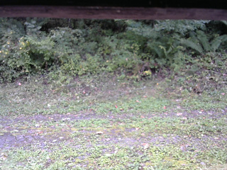 長野県菅平高原 ゆたか山荘 東側(坂下) 2026/09/25 13:15