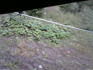 長野県菅平高原 ゆたか山荘 駐車場 2026/09/25 06:15