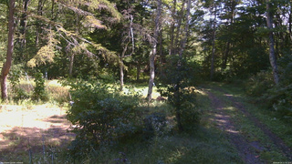 長野県菅平高原 ゆたか山荘 坂上 2026/09/25 11:30
