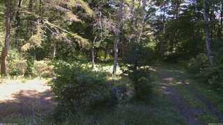 長野県菅平高原 ゆたか山荘 坂上 2026/09/25 11:45