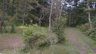 長野県菅平高原 ゆたか山荘 坂上 2026/09/25 13:30