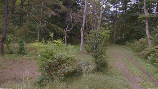 長野県菅平高原 ゆたか山荘 坂上 2026/09/25 14:00