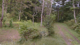 長野県菅平高原 ゆたか山荘 坂上 2026/09/25 14:15