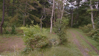 長野県菅平高原 ゆたか山荘 坂上 2026/09/25 16:30