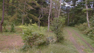 長野県菅平高原 ゆたか山荘 坂上 2026/09/25 17:00
