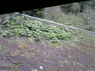長野県菅平高原 ゆたか山荘 駐車場 2026/09/26 14:30