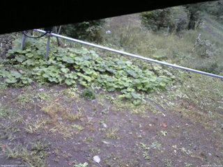 長野県菅平高原 ゆたか山荘 駐車場 2026/09/26 15:30