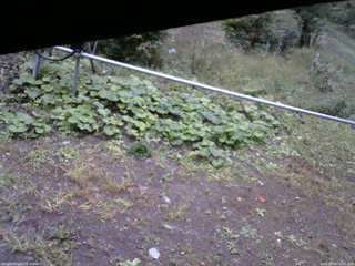 長野県菅平高原 ゆたか山荘 駐車場 2026/09/26 16:45