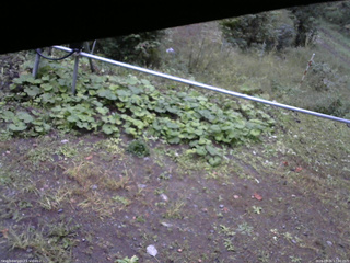 長野県菅平高原 ゆたか山荘 駐車場 2026/09/26 17:00