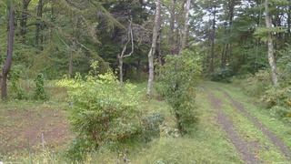 長野県菅平高原 ゆたか山荘 坂上 2026/09/26 09:00
