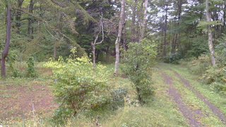 長野県菅平高原 ゆたか山荘 坂上 2026/09/26 10:15