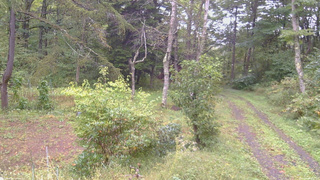 長野県菅平高原 ゆたか山荘 坂上 2026/09/26 10:30