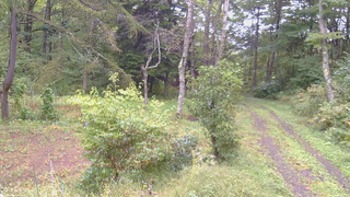 長野県菅平高原 ゆたか山荘 坂上 2026/09/26 10:45