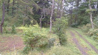 長野県菅平高原 ゆたか山荘 坂上 2026/09/26 11:00