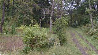 長野県菅平高原 ゆたか山荘 坂上 2026/09/26 11:15