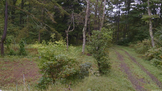 長野県菅平高原 ゆたか山荘 坂上 2026/09/26 12:00