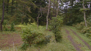 長野県菅平高原 ゆたか山荘 坂上 2026/09/26 12:30