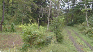 長野県菅平高原 ゆたか山荘 坂上 2026/09/26 13:00