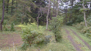 長野県菅平高原 ゆたか山荘 坂上 2026/09/26 13:30