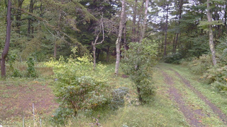 長野県菅平高原 ゆたか山荘 坂上 2026/09/26 13:45