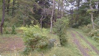 長野県菅平高原 ゆたか山荘 坂上 2026/09/26 14:00