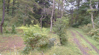 長野県菅平高原 ゆたか山荘 坂上 2026/09/26 14:15