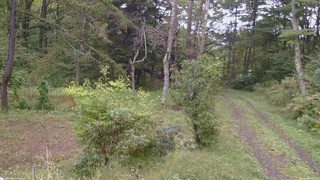 長野県菅平高原 ゆたか山荘 坂上 2026/09/26 14:30