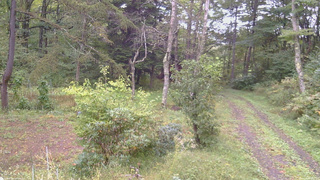 長野県菅平高原 ゆたか山荘 坂上 2026/09/26 14:45