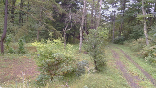 長野県菅平高原 ゆたか山荘 坂上 2026/09/26 15:45