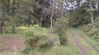 長野県菅平高原 ゆたか山荘 坂上 2026/09/26 16:15